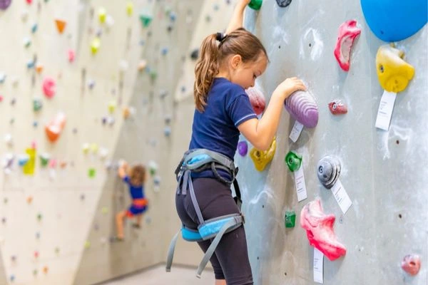 Why Climbing Gyms Are Transforming Urban Fitness in 2026