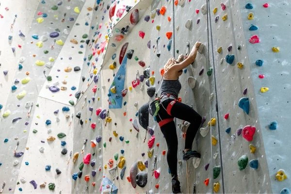 Why Climbing Gyms Are Transforming Urban Fitness in 2026