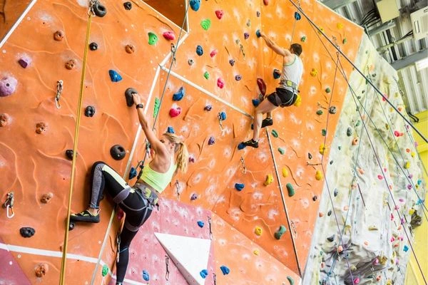 Why Climbing Gyms Are Transforming Urban Fitness in 2026