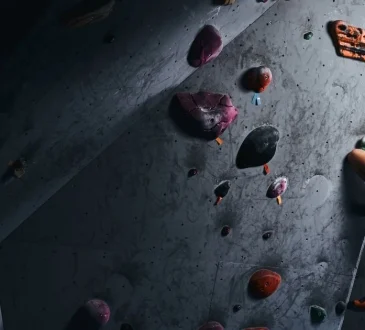 Why Climbing Gyms Are Transforming Urban Fitness in 2026